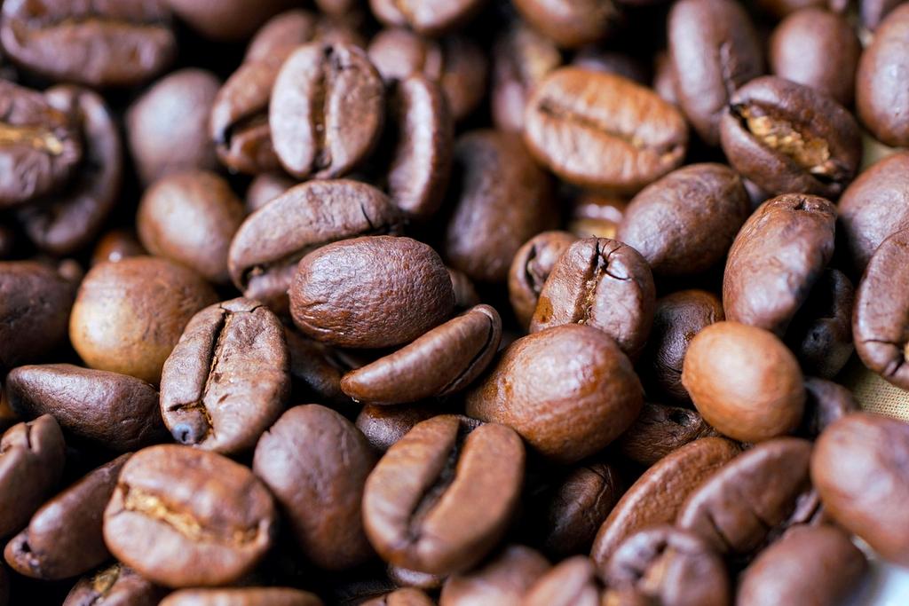 Close-up of fresh roasted coffee beans with oil sheen