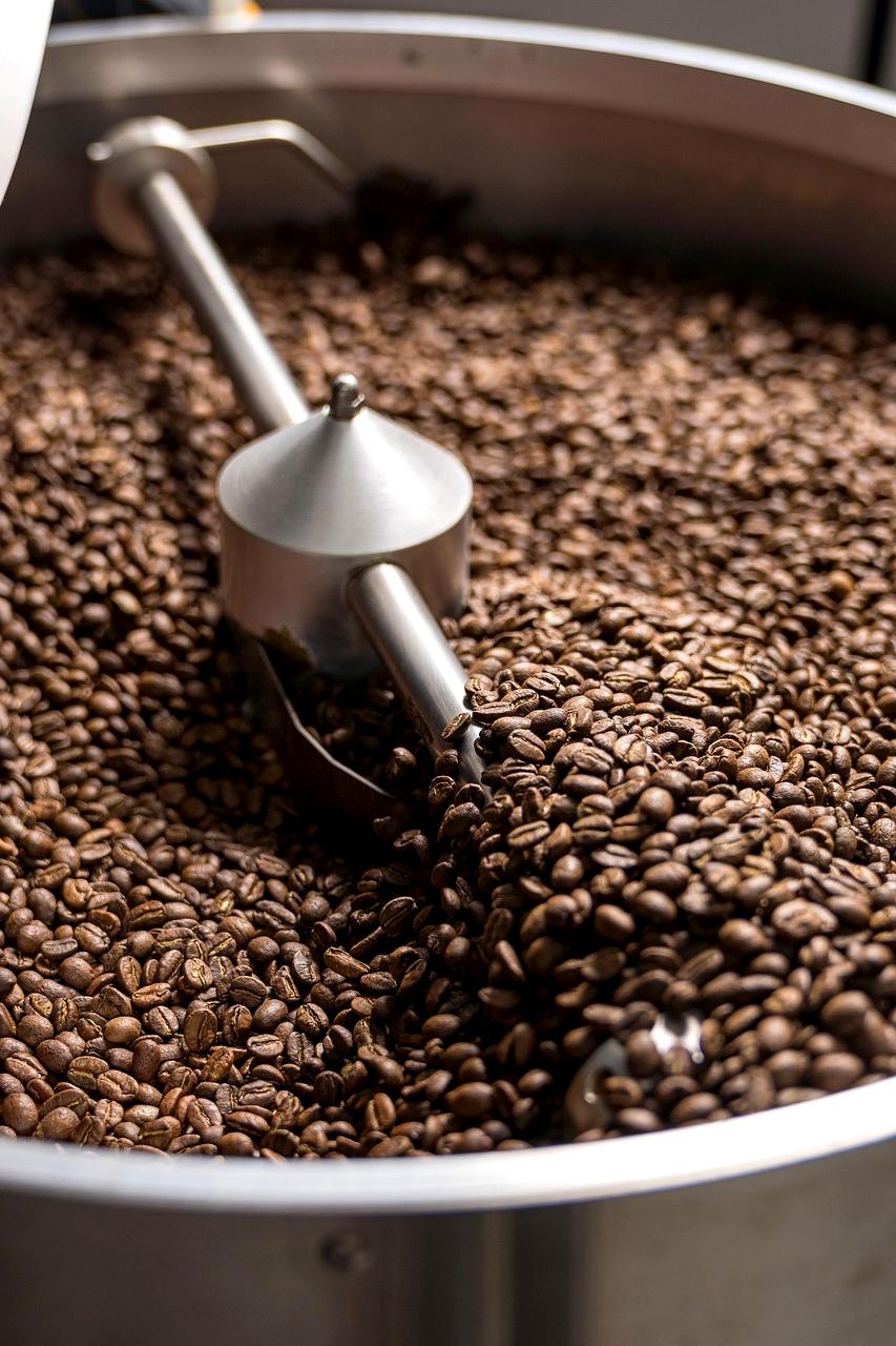 Freshly roasted coffee beans cooling in artisanal roasting facility